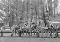 San Joaquin Valley Conservation Committee of California Development Association, meeting in Sequoia, April 1928