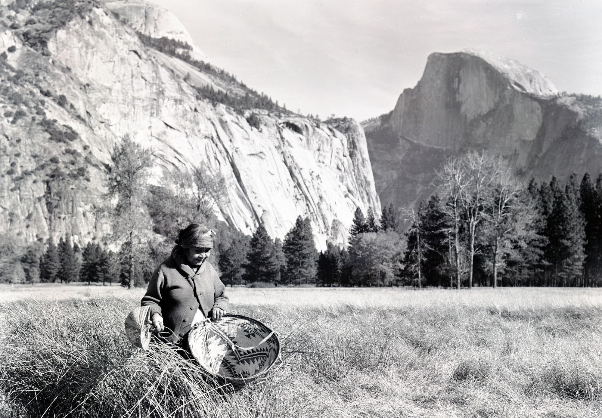 Maggie Howard beating grass seeds into burden basket. Probably taken during filming of movie "Yosemite Native Americans". Baskets were in Yosemite Collections (@ that time): seed beater - Miwok; burden basket-Wintu or Atsugewi - scene not accurate description of the activity.