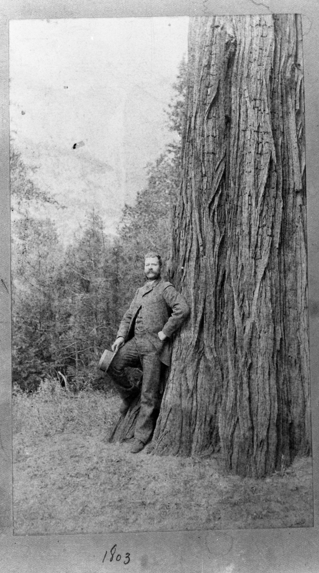 Yosemite Guardian 1887-89