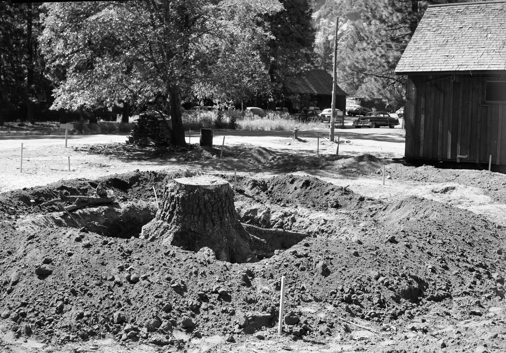 Digging out stumps for construction of apartment building for Y. P. & C. Co.