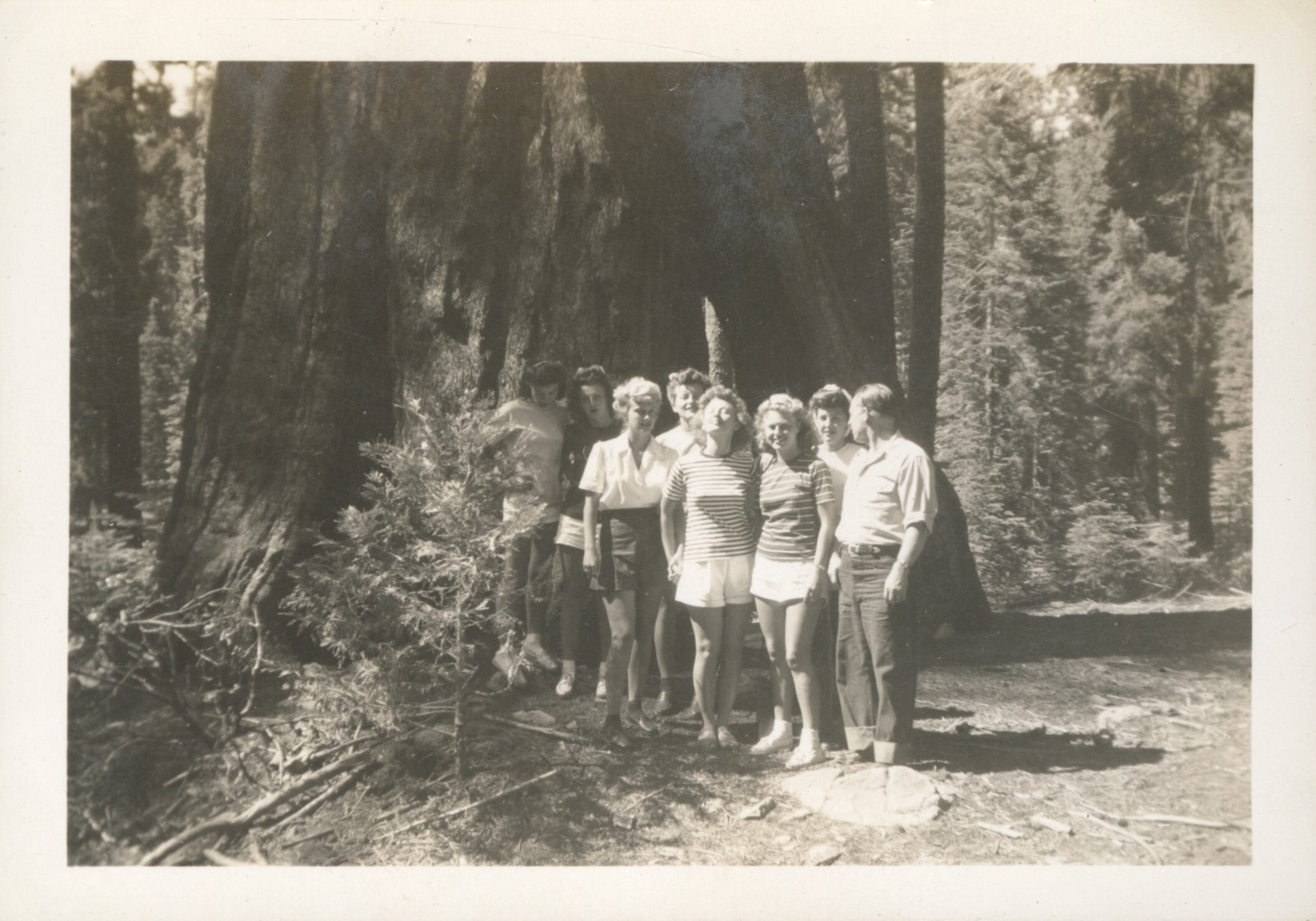 Seven nurses and one man pose next to a Sequioa tree