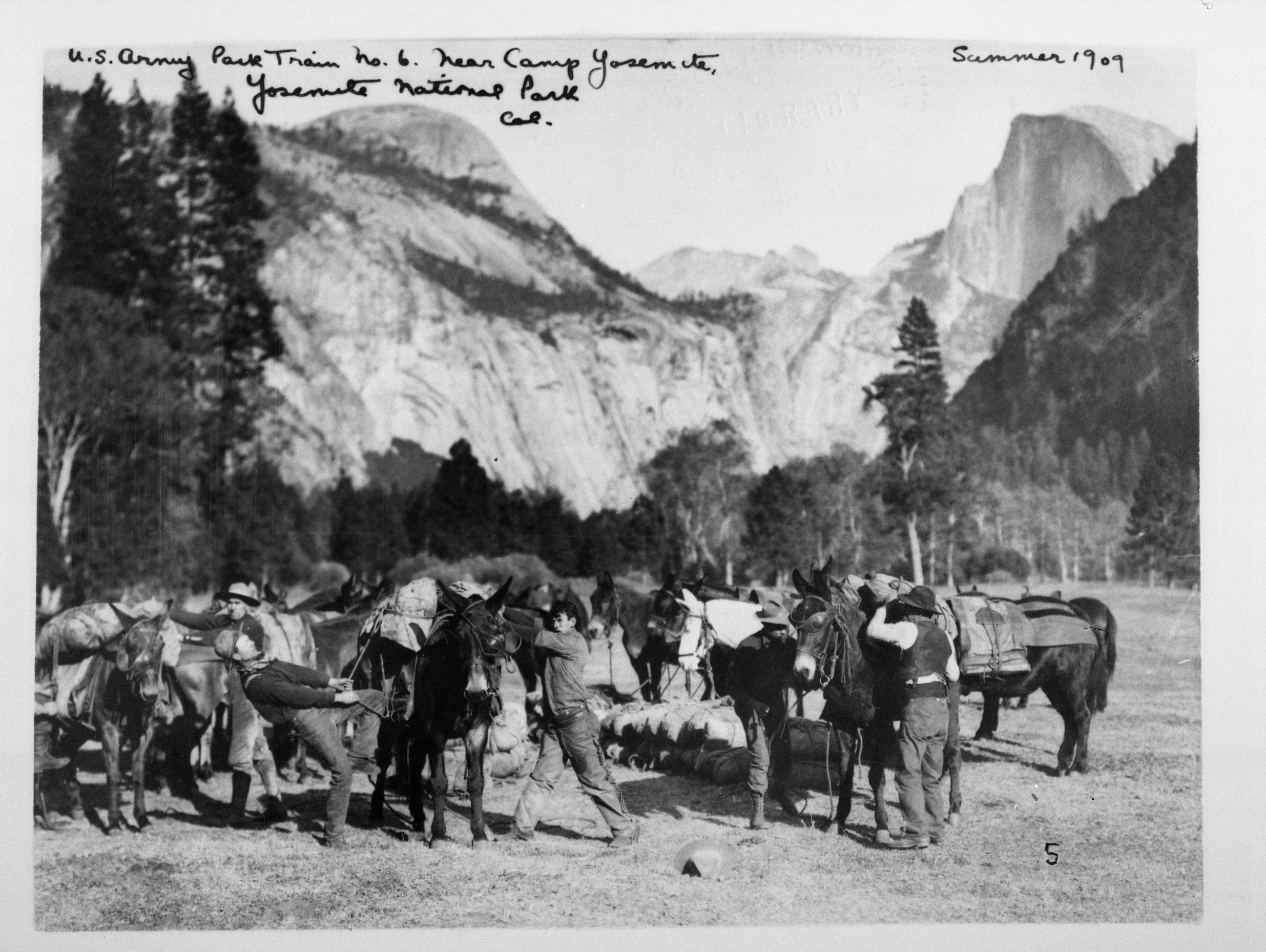 U.S. Army Pack Train No. 6 near Camp Yosemite.