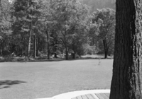 Looking south on site of old Kenneyville.