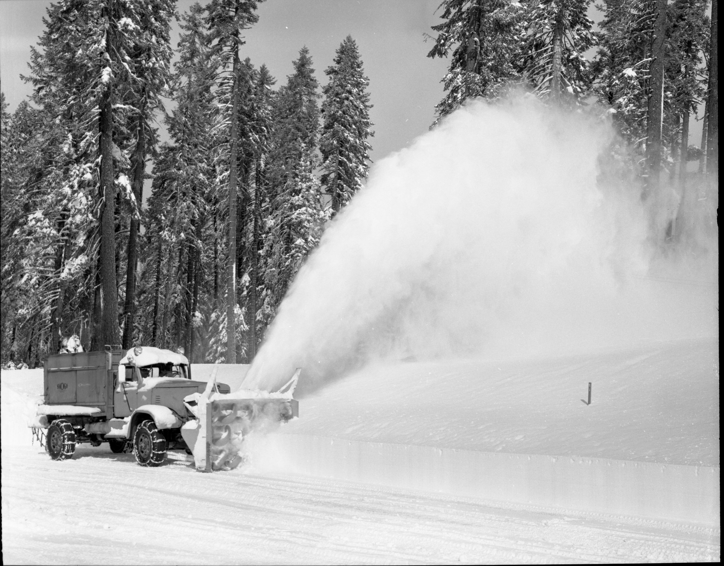 Snow scene - Yosemite Valley.