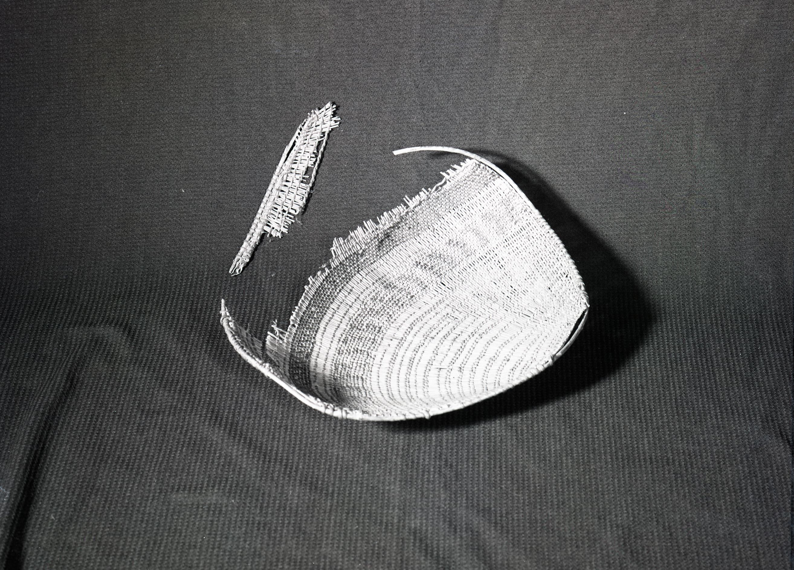 Western Mono type Winnowing basket. Once owned by Lena Cox c. 1920. Materials: redbud, fern root, sedge root, sourberry. c. 1 foot length. Owned by James Cox, Tuolumne Miwuk Rancheria, Tuolumne Ca.