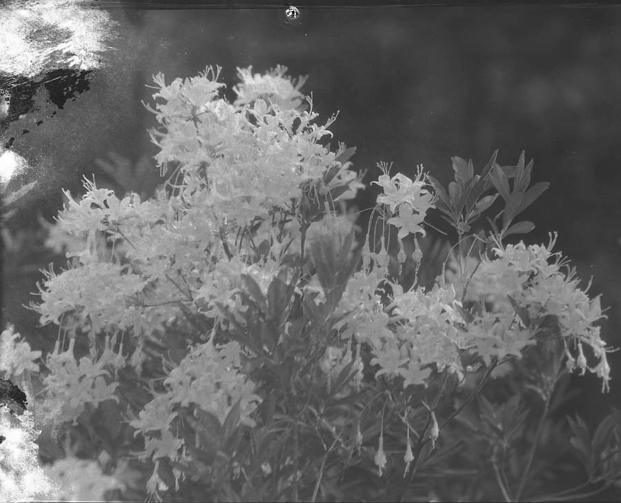 Yosemite National Park