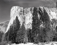 Valley Visitor Center Exhibit 10-8