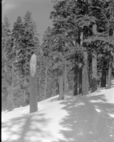 Ski trip to Snow Creek (RL-12,555 - 12,564).