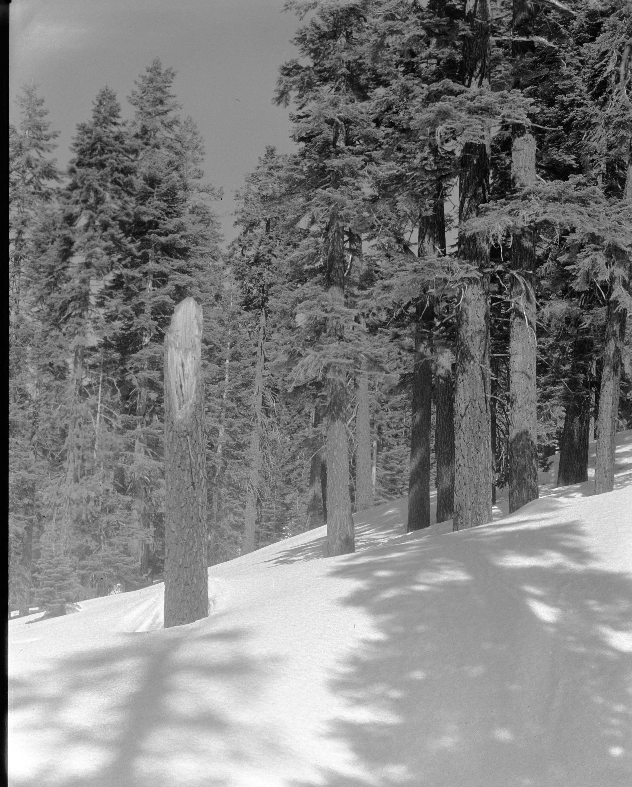 Ski trip to Snow Creek (RL-12,555 - 12,564).