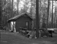 Foresta. Haddock. B-4. [Art Holmes].