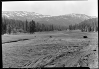 Wawona Landing Field