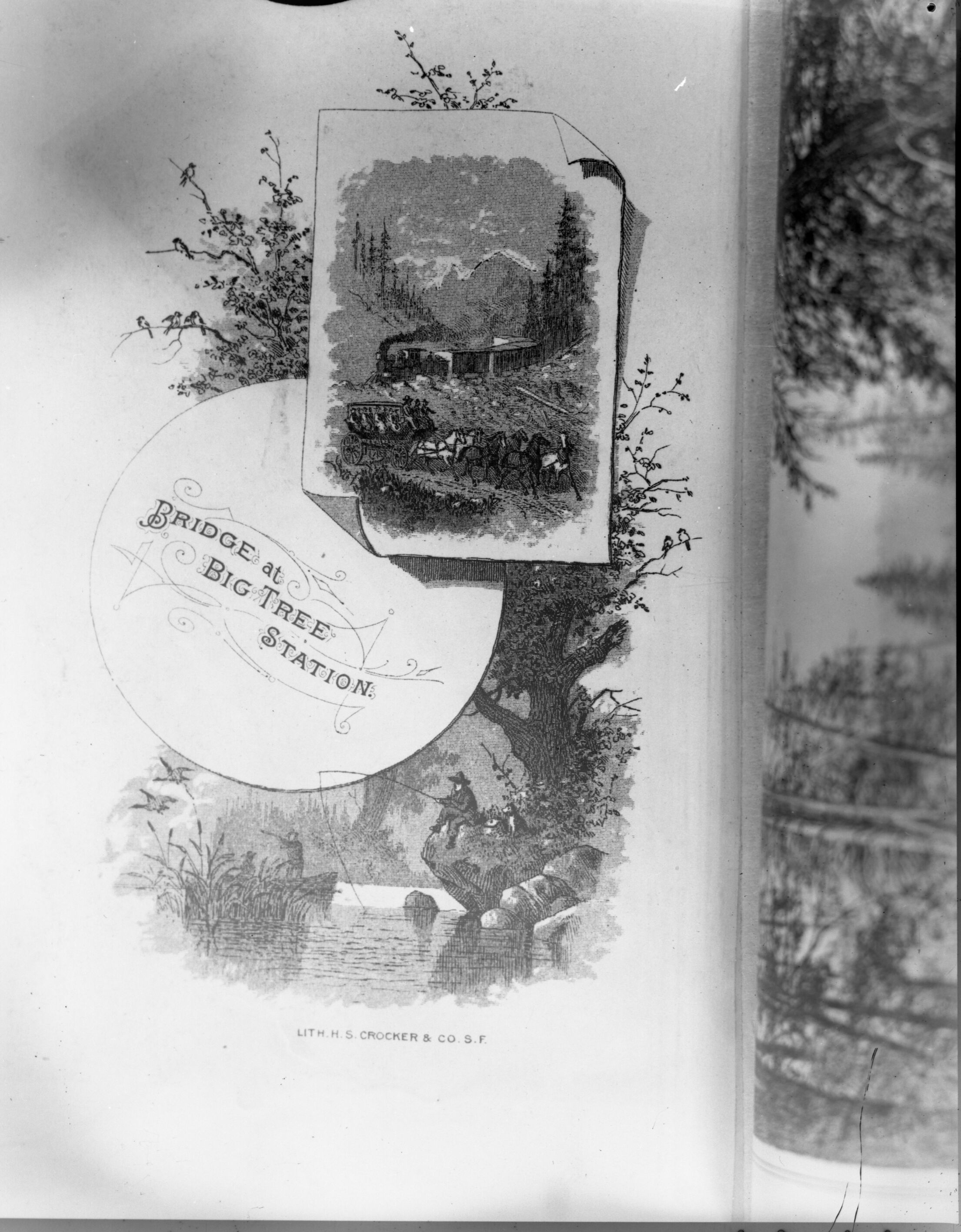 Bridge at Big Tree Station.