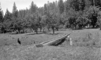 possibly upper McCauley Orchard?