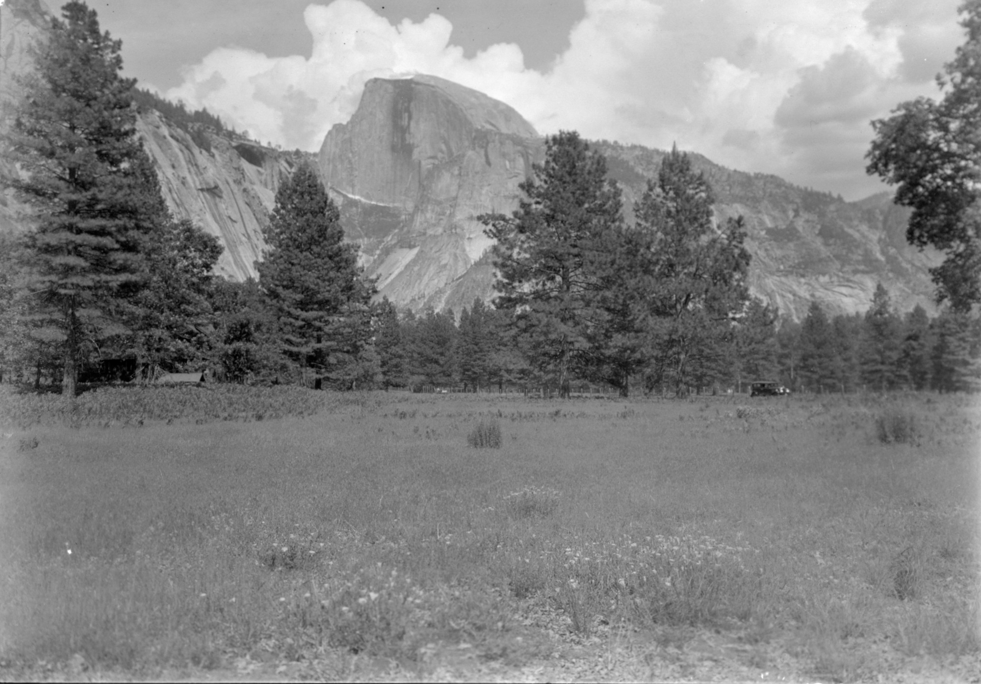 Half Dome and meadow flowers.