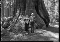 Gov. Wilbur Cross and Miss Virginia McCaslin, Memphis, Tenn/ in front of Big Tree.