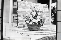 Floral arrangement in Western Mono basket by Mrs. Wm. (Etta Grace) Sell, Sr. Copied from original in YNP Collection.