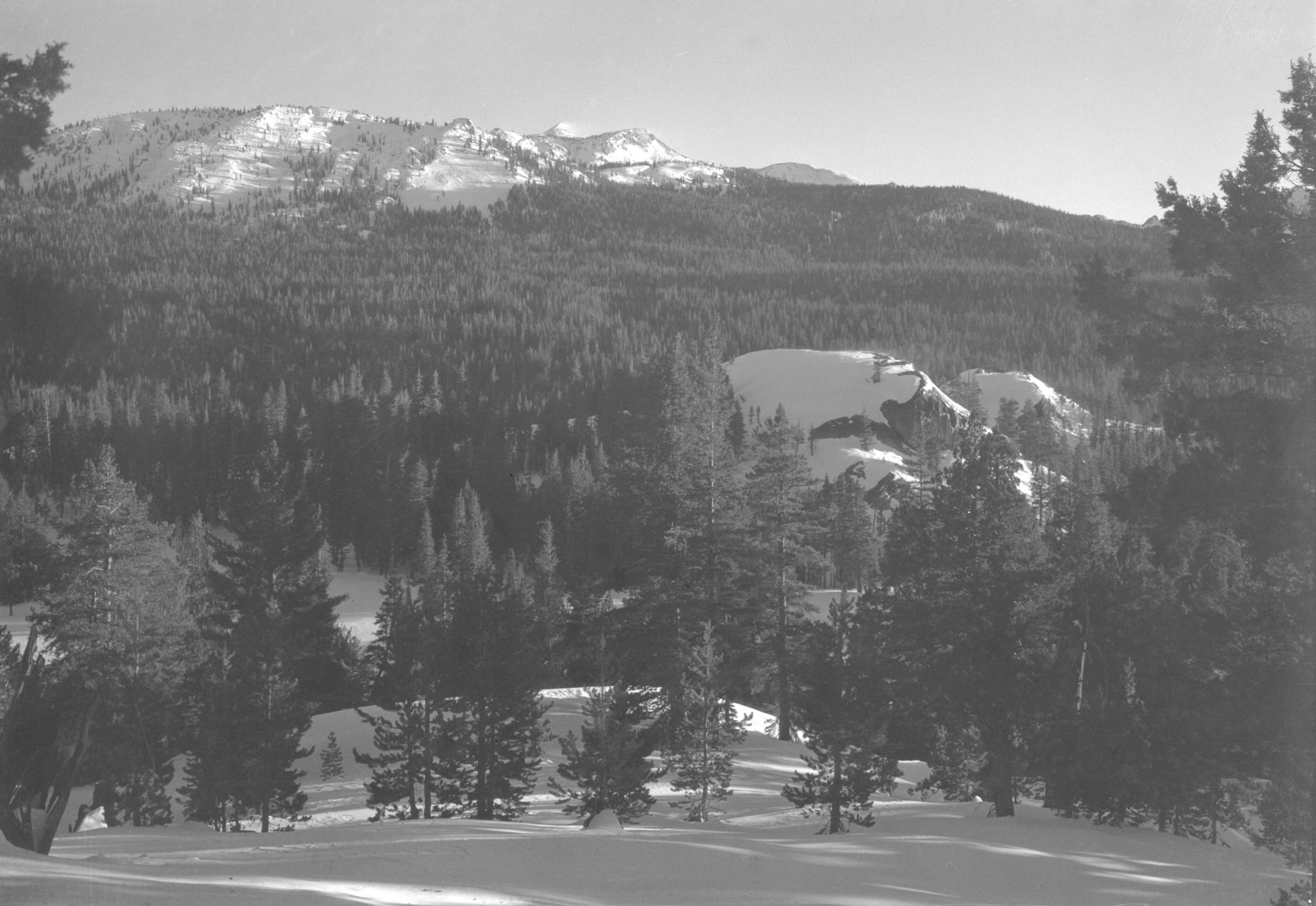 View from Lembert Dome.