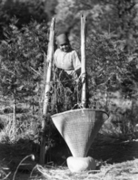 Ta-buce (Maggie Howard) constructing a chucka