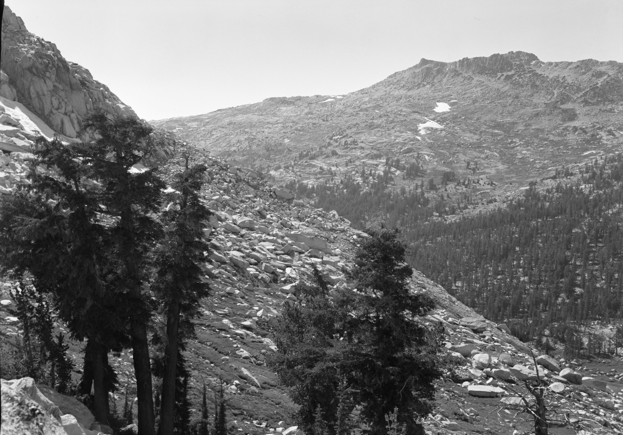 Looking down from ridge near Buckeye Pass.