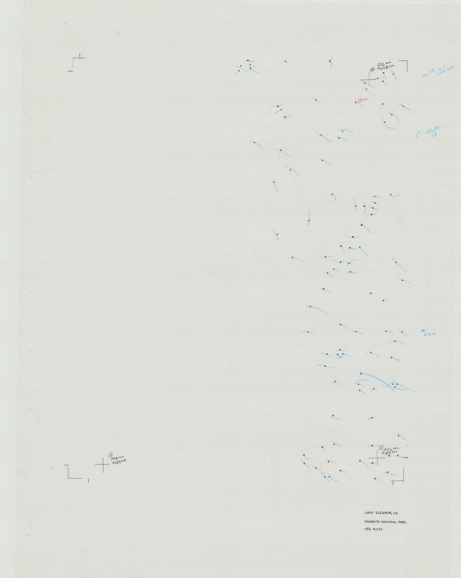 Yosemite National Park Veg Plots - Lake Eleanor