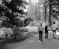 Park Concessions, Yosemite Valley.