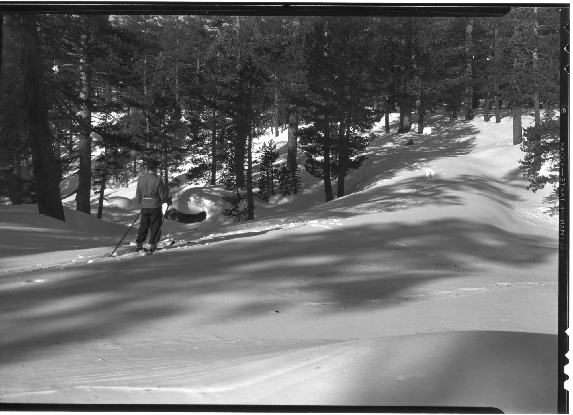 Jack Emmert near top of hill on Tioga Road