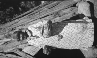 Maggie "Tabuce" Howard, Mono Lake Paiute. Copy Neg: Bob Woolard, 10/94. On 5 x 7.