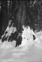 Gen. Ortiz Rubio, former president of Mexico.