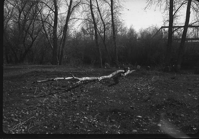 Snelling, Merced Co.