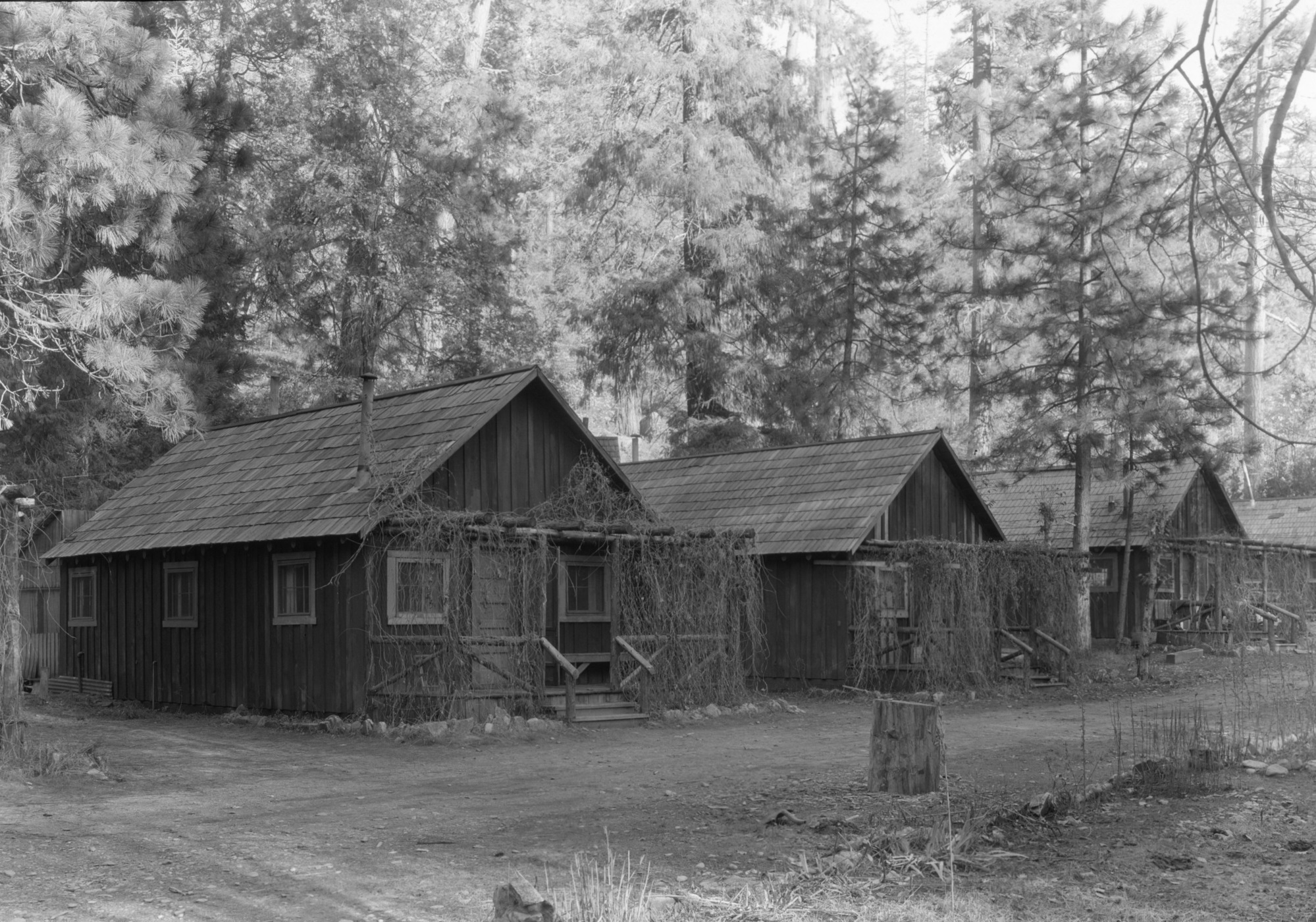 Carl Inn cabins.