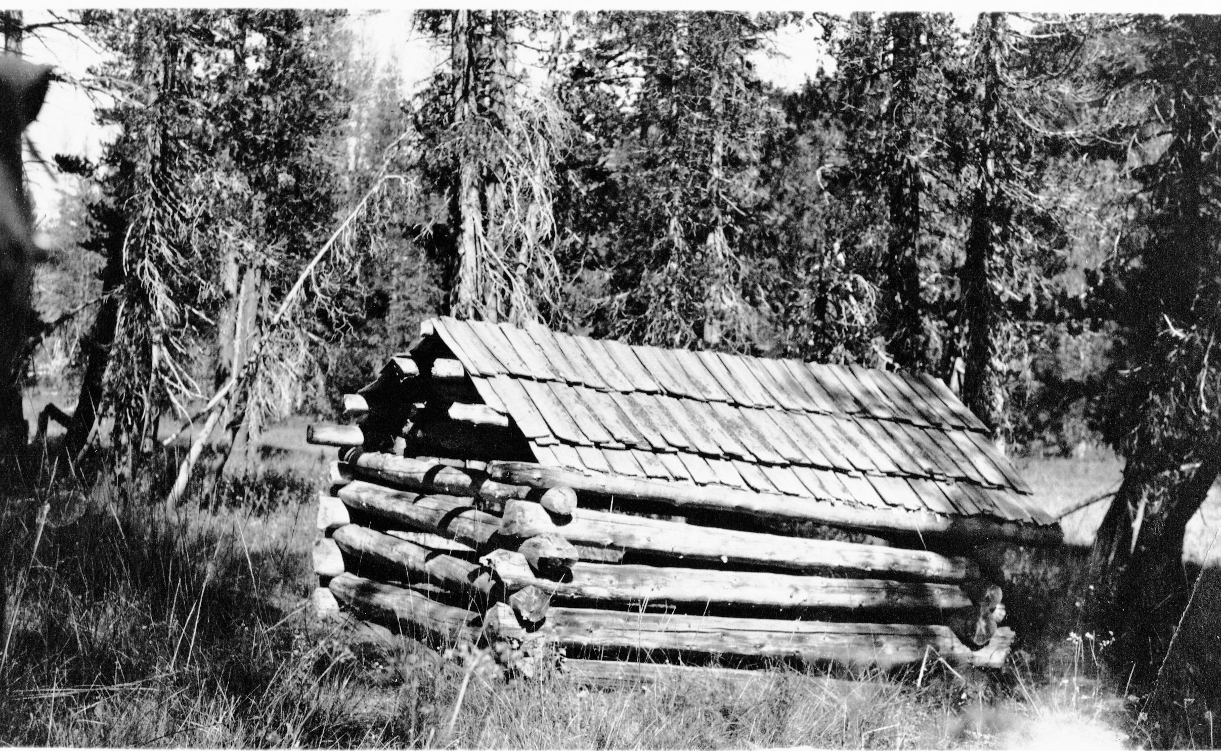 Tiltill Mountain cabin. Copy of photograph in YRL (979.447, Box Y-36, Tiltill Mtn. file). Written on the back of the original print is "Sheep herders cabin upper Tiltill Meadows." Jim Snyder, park historian (February 1992) believes it is the lower Tiltill Mountain cabin which no longer exists. It was in the first meadow at the top of Tiltill Mtn. as you go uphill from Tiltill Valley. Copy Neg: 2/92, Mike Floyd