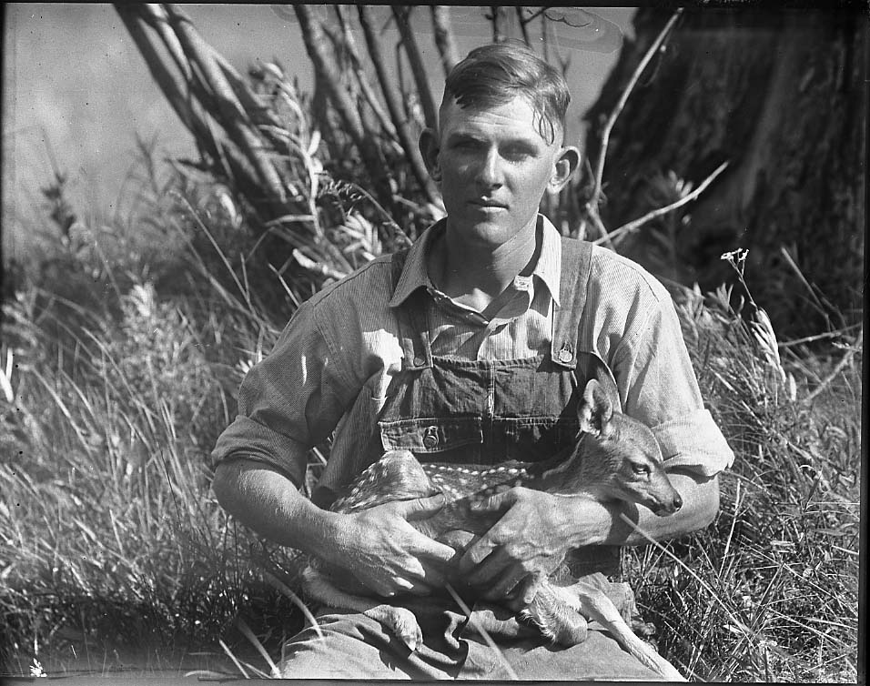 Yosemite National Park