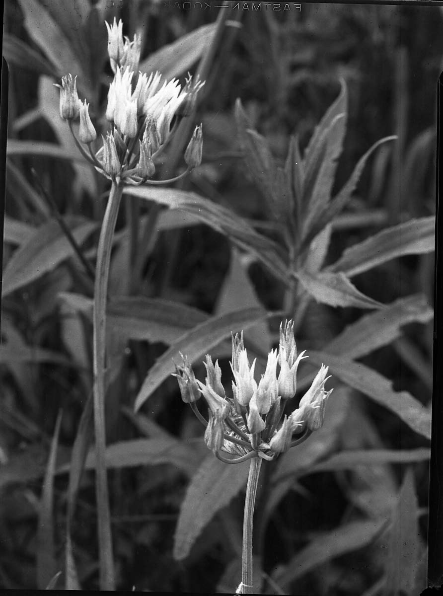 Rocky Mountain National Park