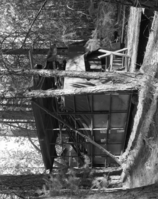 Foresta. Lot West of Haddock. E-7. [Stratton?]