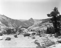 View down Tenaya Canyon from Olmstead Pt. area.