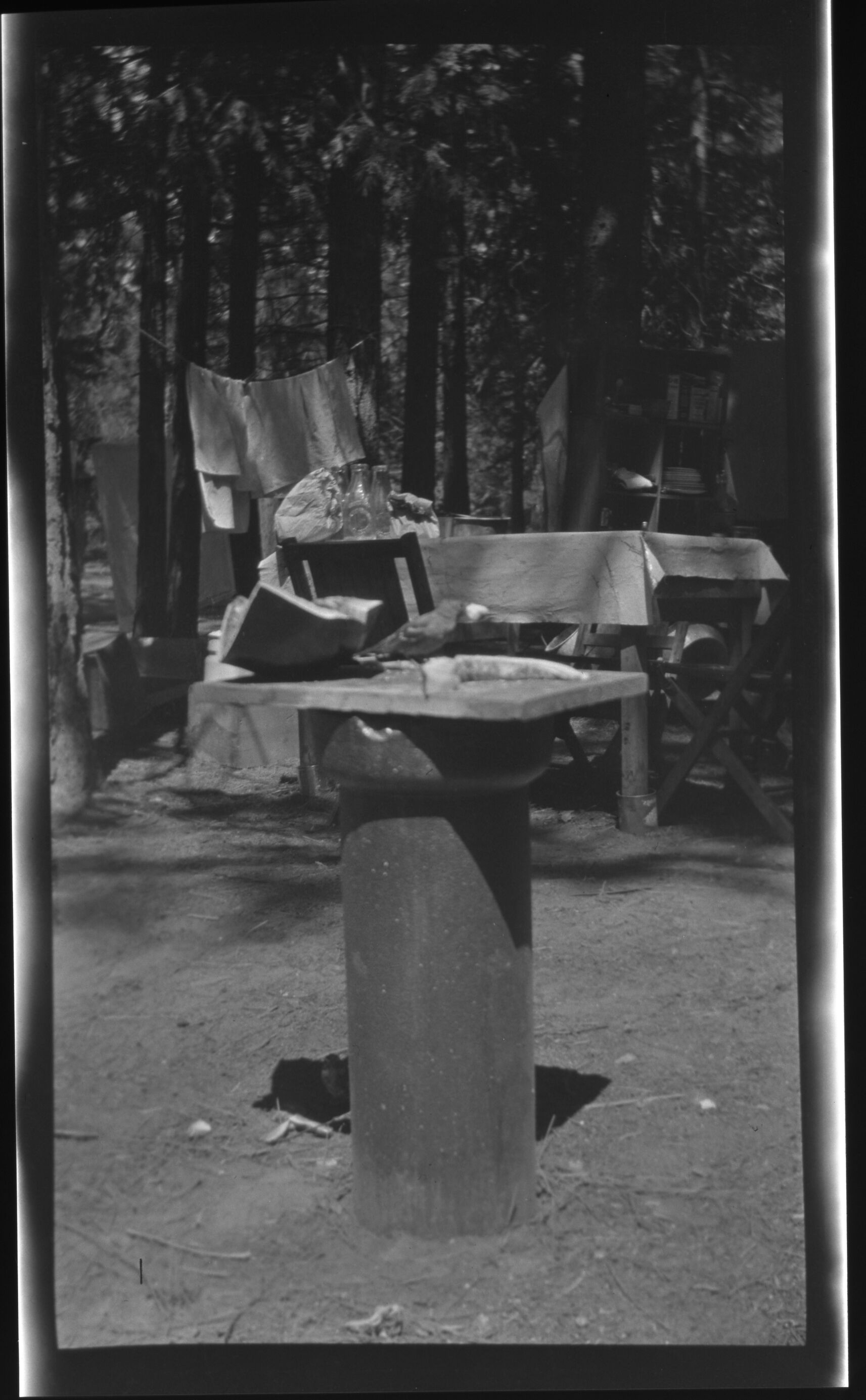 Camp 14, Yosemite Valley. Feed table for birds. Copied courtesy Mrs. Jean Coolbaugh Blasdale. Copied Sept. 1983 by Michael Dixon.