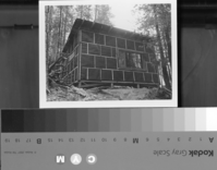 Foresta. Speer Cabin.