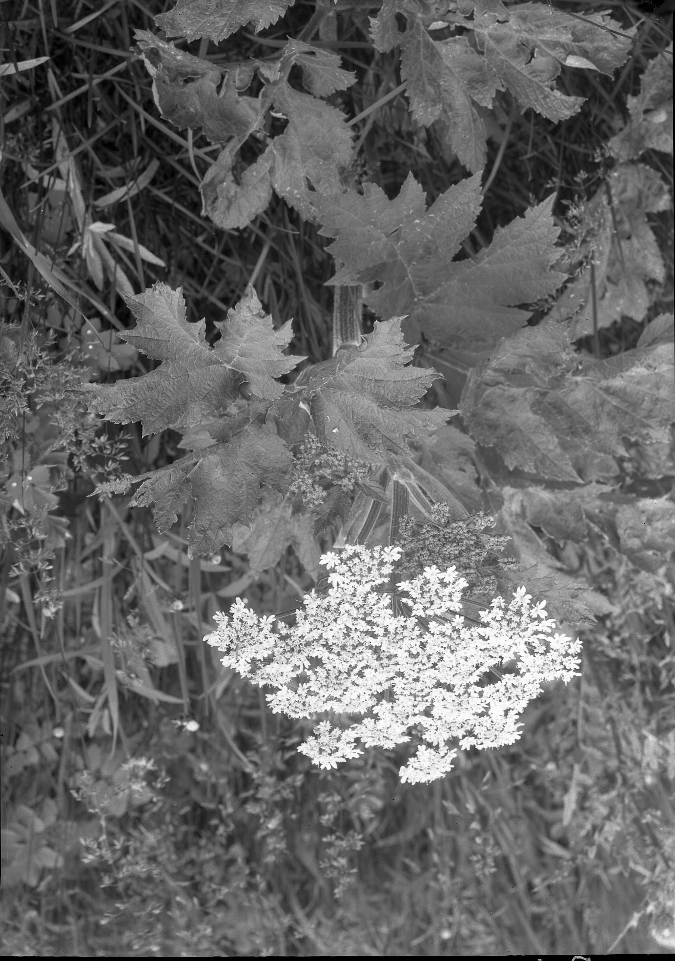 Rocky Mountain National Park