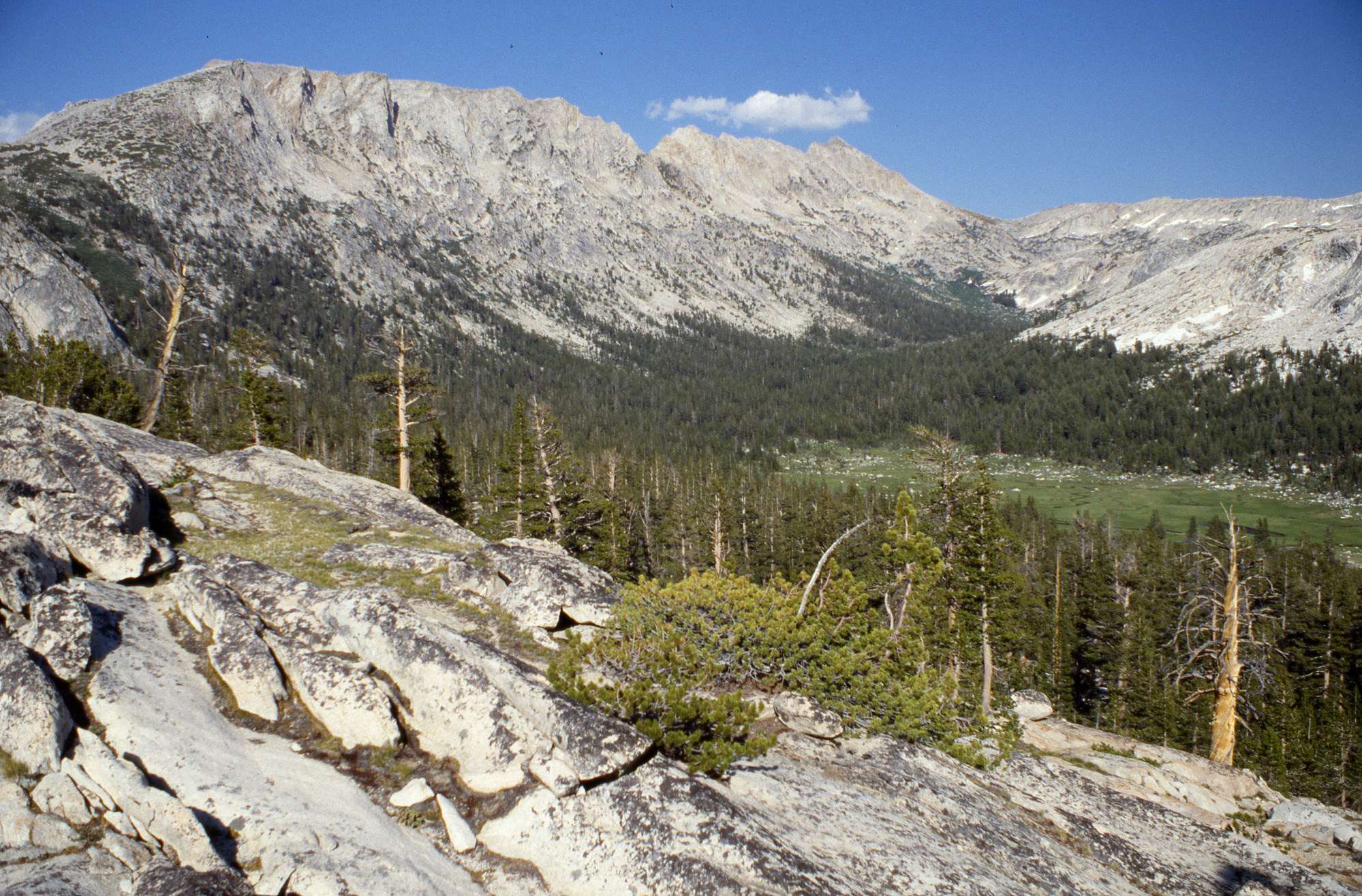 Along McCabe Creek, from Shepherd's Crest