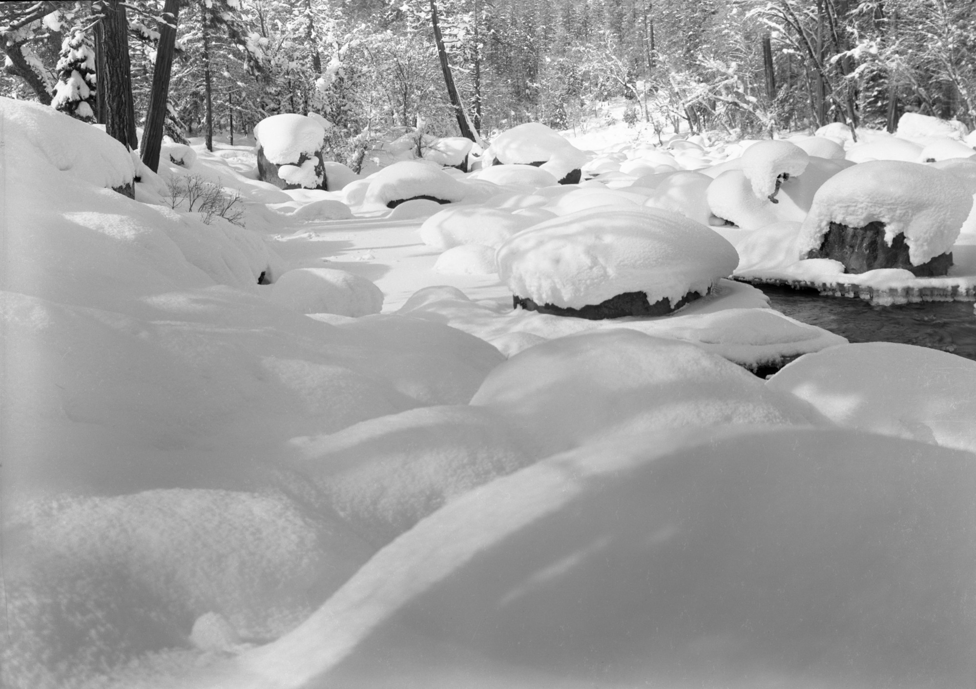 Snow on rocks near Sewage Plant (several negs). Job No. 101.