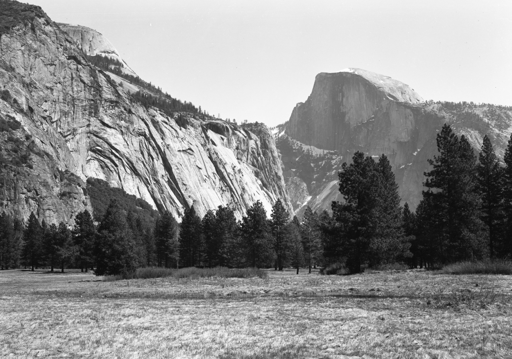 View across site of old elk paddock.