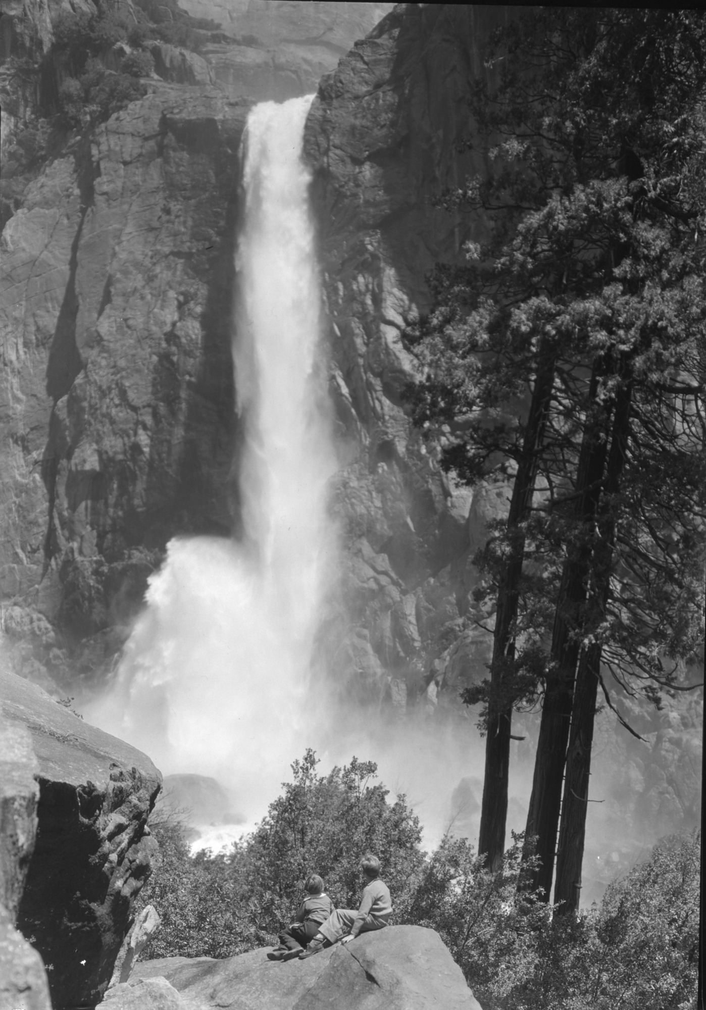 For Mrs. Shaw's book David and Mary Alice Visit Yosemite.