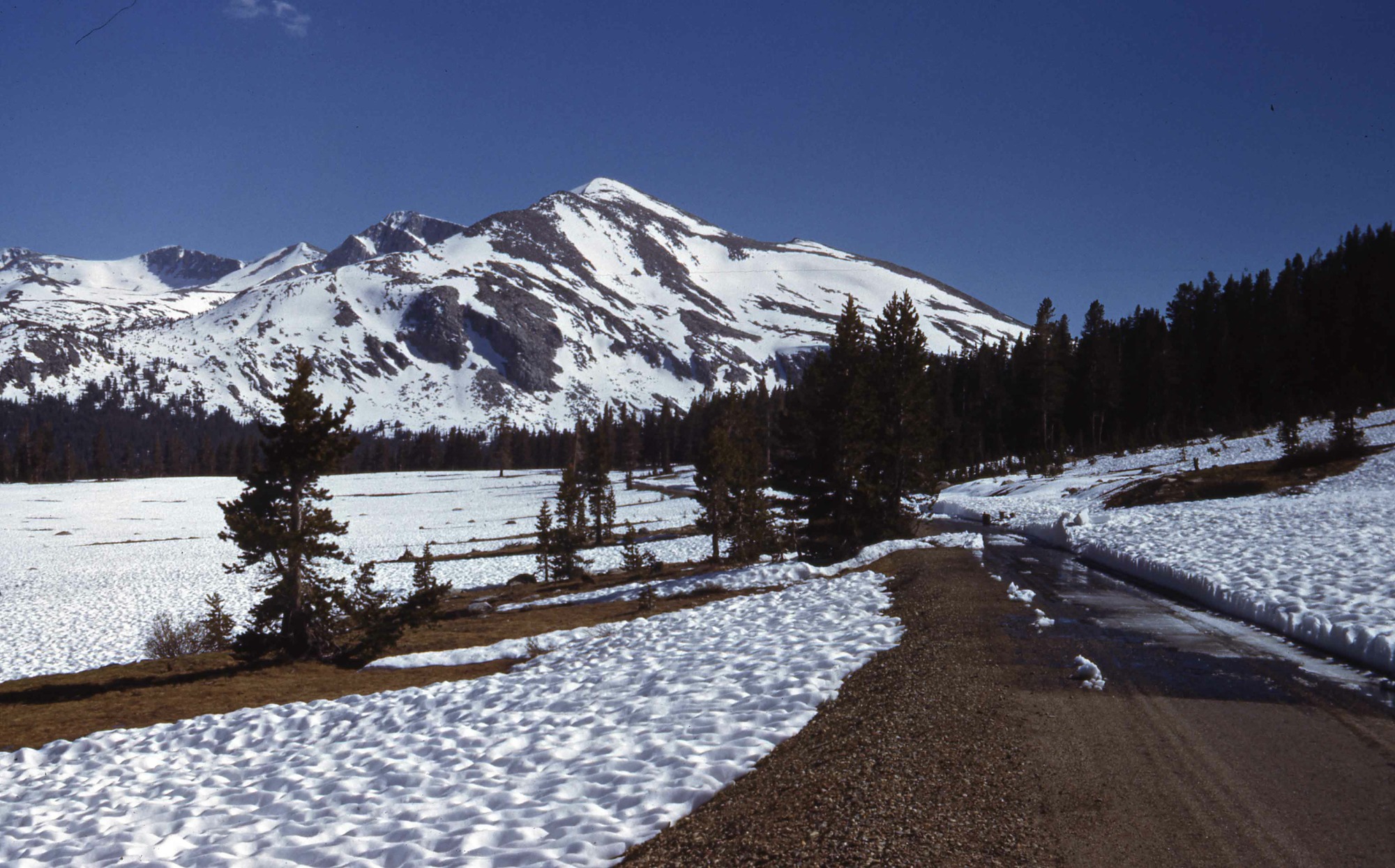 Mammoth Peak