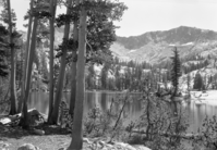 Looking toward Gale Peak.