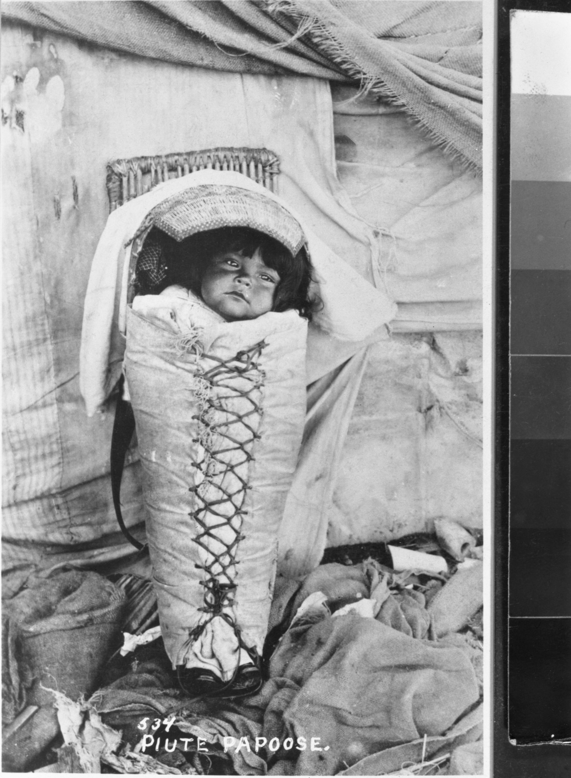 Paiute baby in cradle. Bates collection.