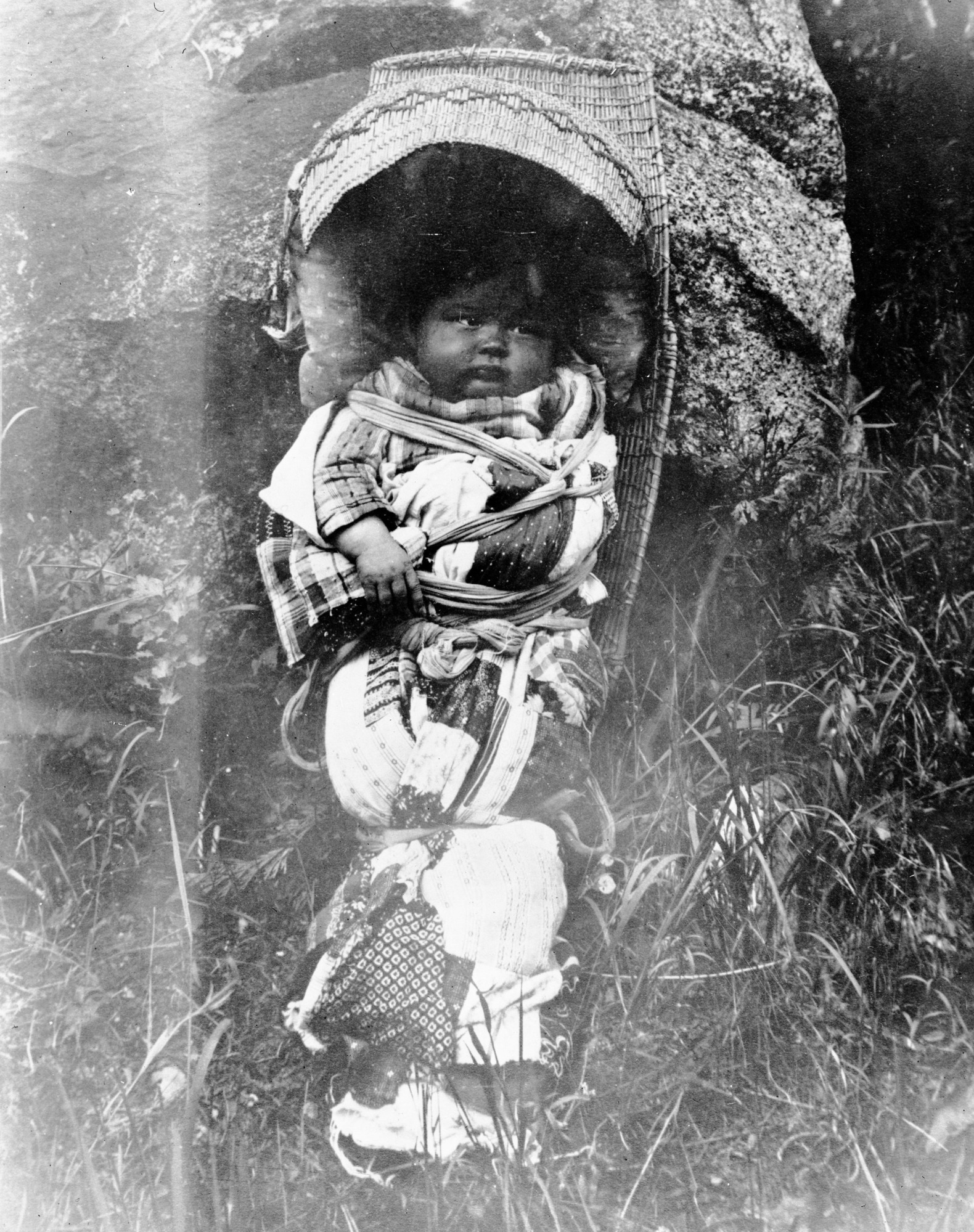 Yosemite Native American child in typical cradle; Alice Roosevelt Wilson, daughter of Billy Wilson + Rose (Rosy) Brown