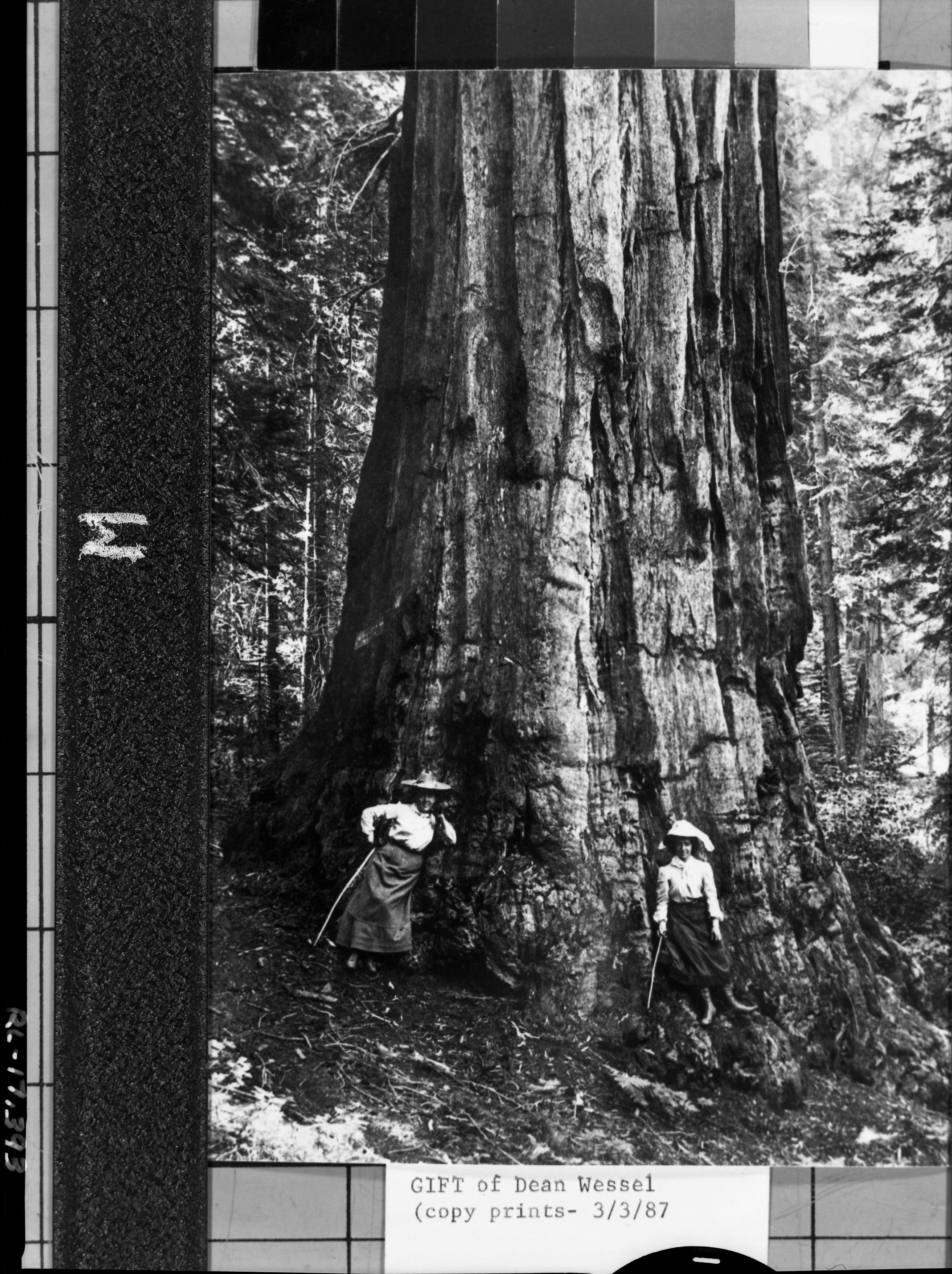 Copied by Michael Dixon, copied March 1987; Olive Langford & Mable Nina McLaughlin (Both married to McDonald's, who were Yosemite residents (?) ). Photo donated by Dean Wessel.