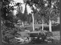 White & Hatches on the Mariposa route. Copied from Francis Farquhar's collection on May, 1951 by Ralph H. Anderson. (see Mariposa County Guidebook by Shirley Sargent, p. 32) Also the Hood's photo copy file, Roll 86, Frame 30.