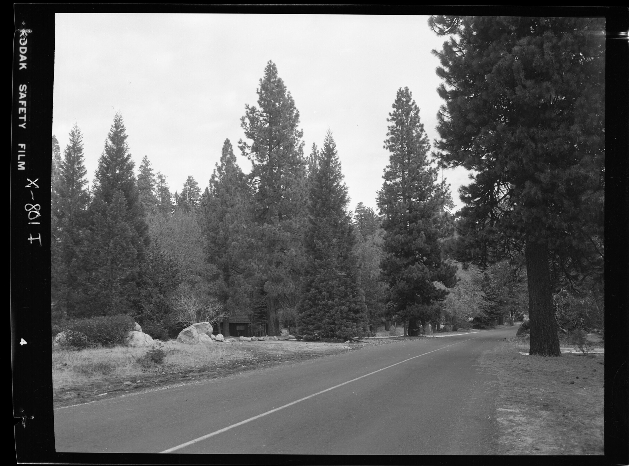 Signs on Tioga Road