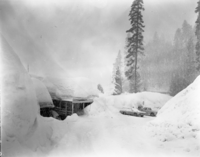 Heavy winter.